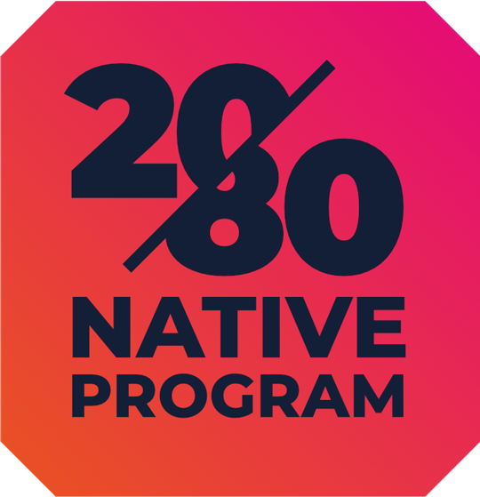 logo 2080 native